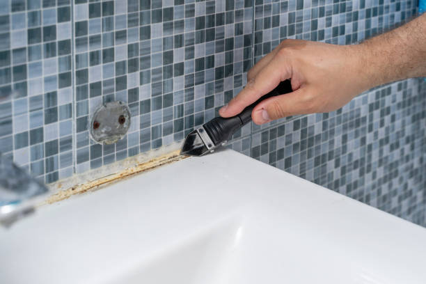 Best Emergency Mold Remediation in Greentown, IN